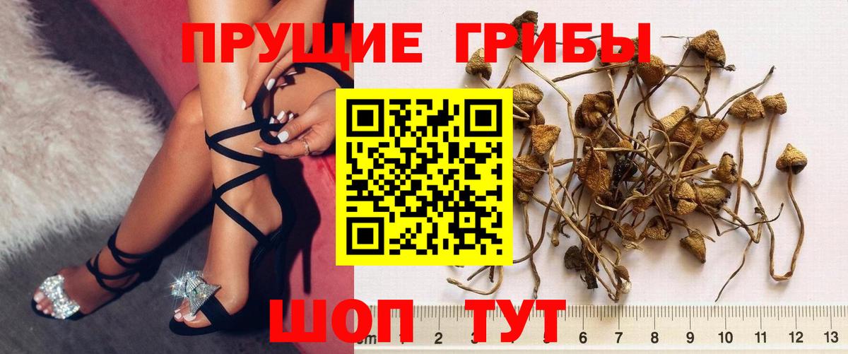Коммунар  Галлюциногенные грибы MAGIC MUSHROOMS  Вход с VPN 